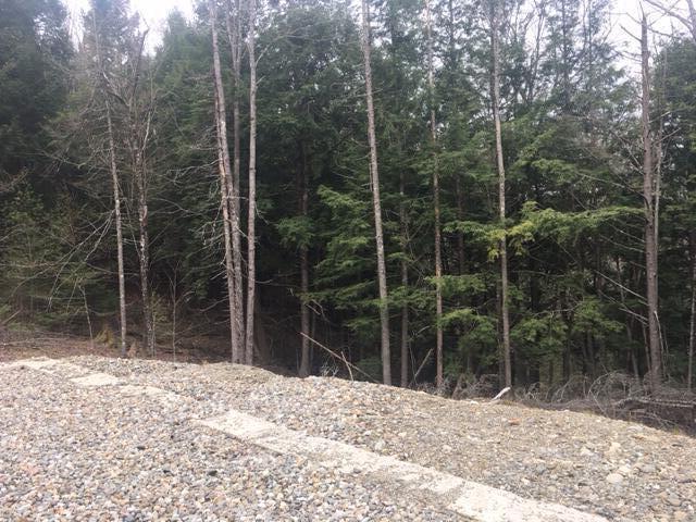 2-3 Maple Ridge Road Dedham, ME 04429 - Photo 2 of 6 IMG_5905