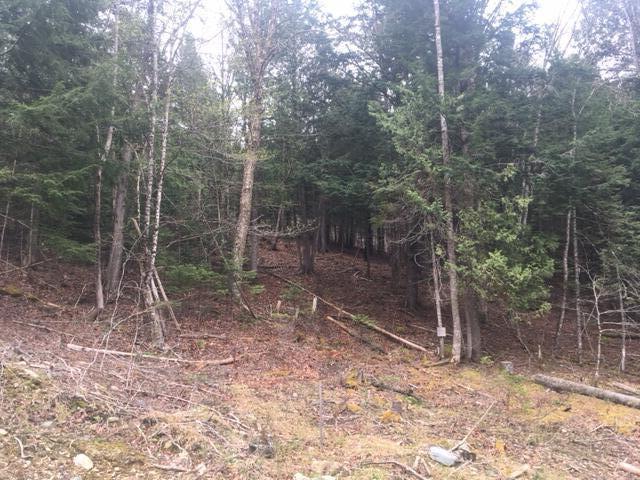 2-3 Maple Ridge Road Dedham, ME 04429 - Photo 4 of 6 IMG_5904