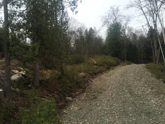 2-3 Maple Ridge Road Dedham, ME 04429 - Photo 6 of 6 IMG_5906