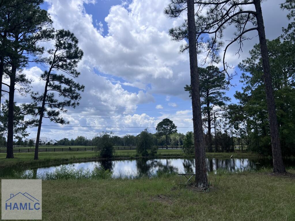 55 Fender Road Jesup, GA 31546 - Photo 3 of 31 Gallery Image 3