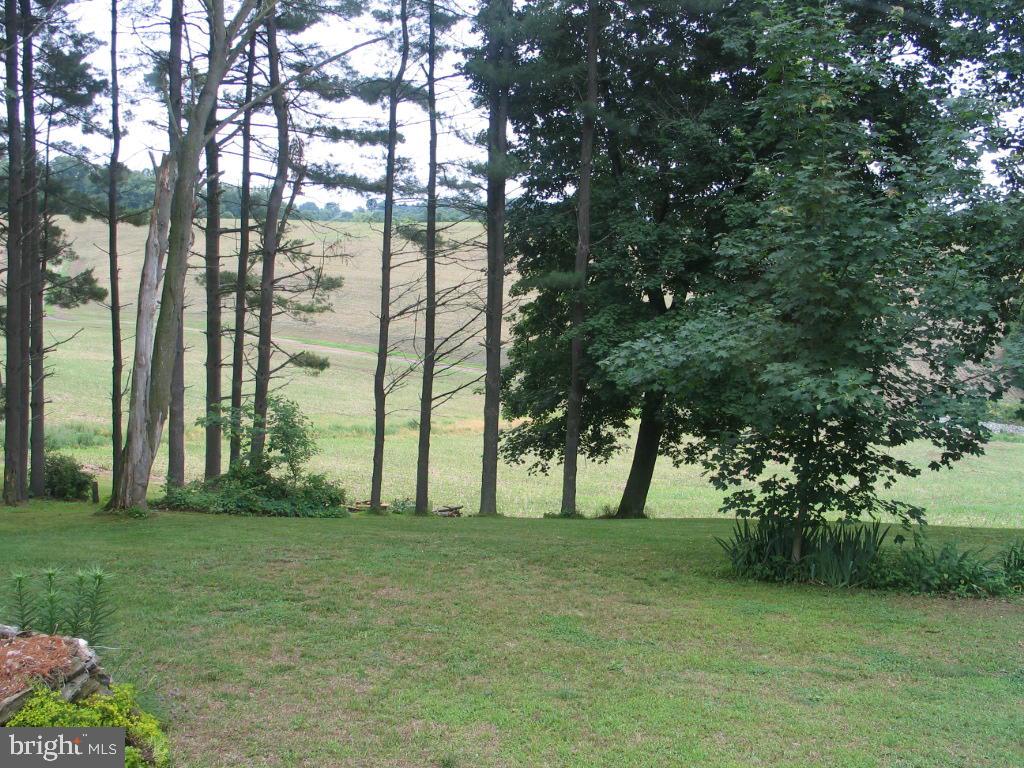 3624 River Road Conestoga, PA 17516 - Photo 22 of 25
