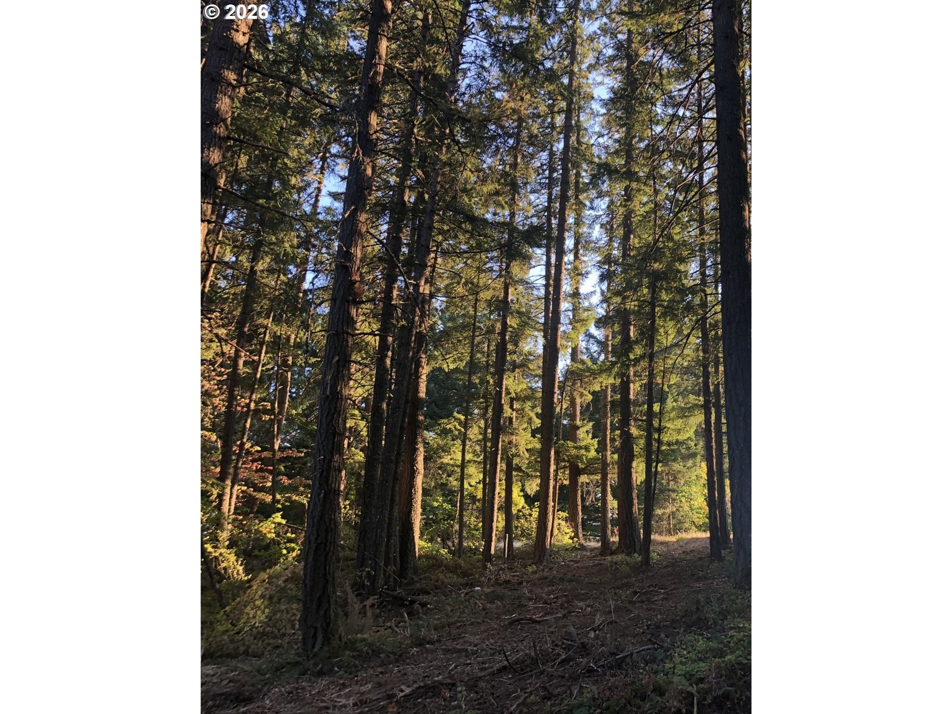 7091 Little Buck Creek Road White Salmon, WA 98672 - Photo 2 of 6