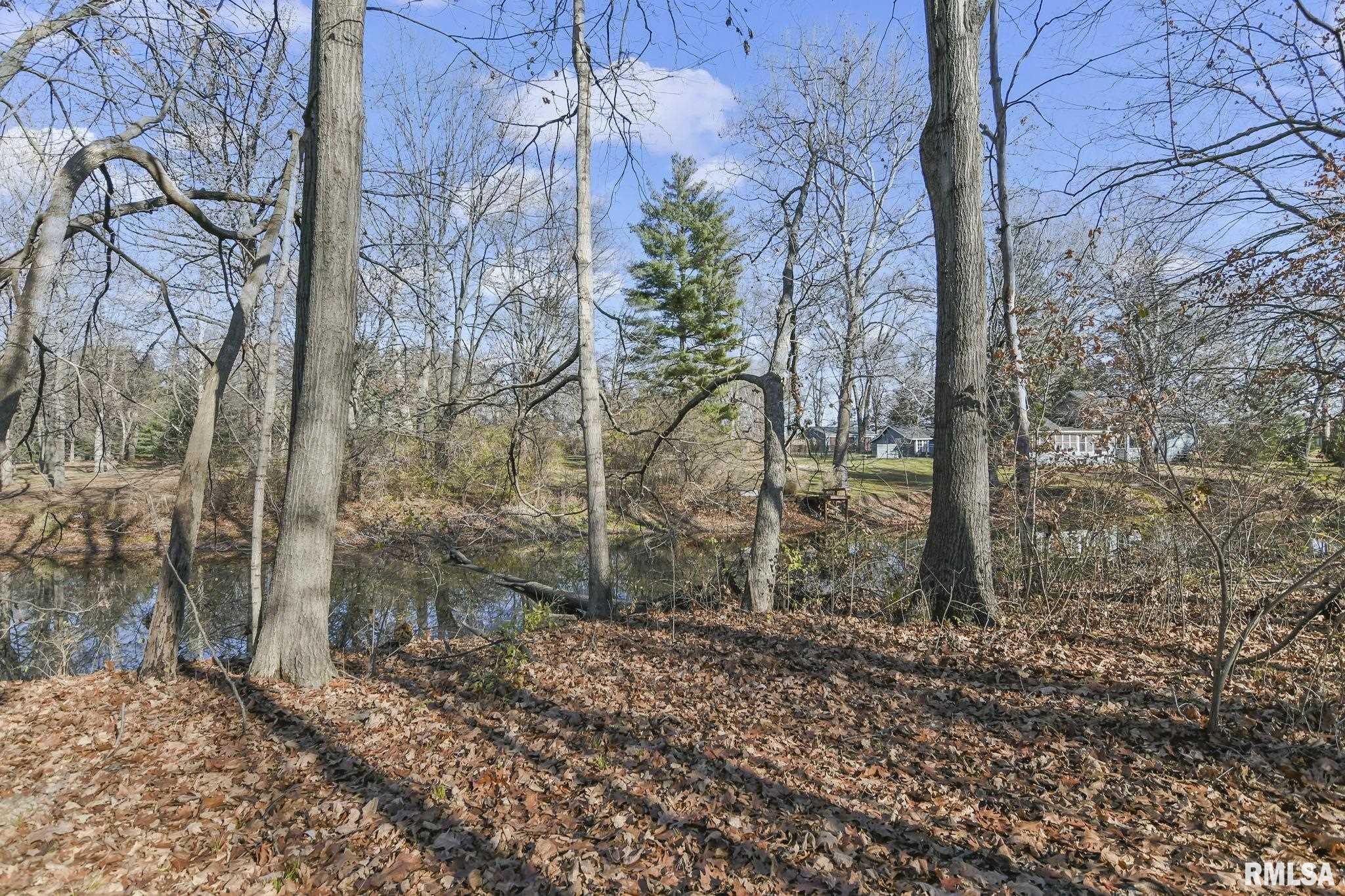 101 Sumner Lane Springfield, IL 62707 - Photo 41 of 50 Gallery Image 41