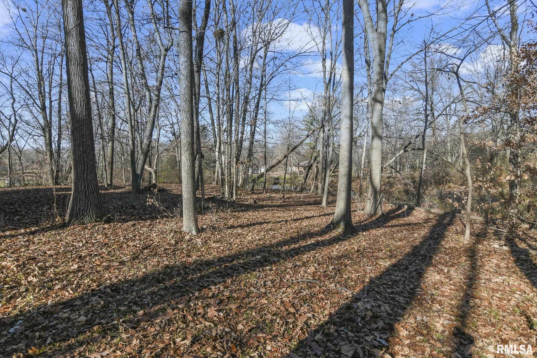 101 Sumner Lane Springfield, IL 62707 - Photo 42 of 50 Gallery Image 42