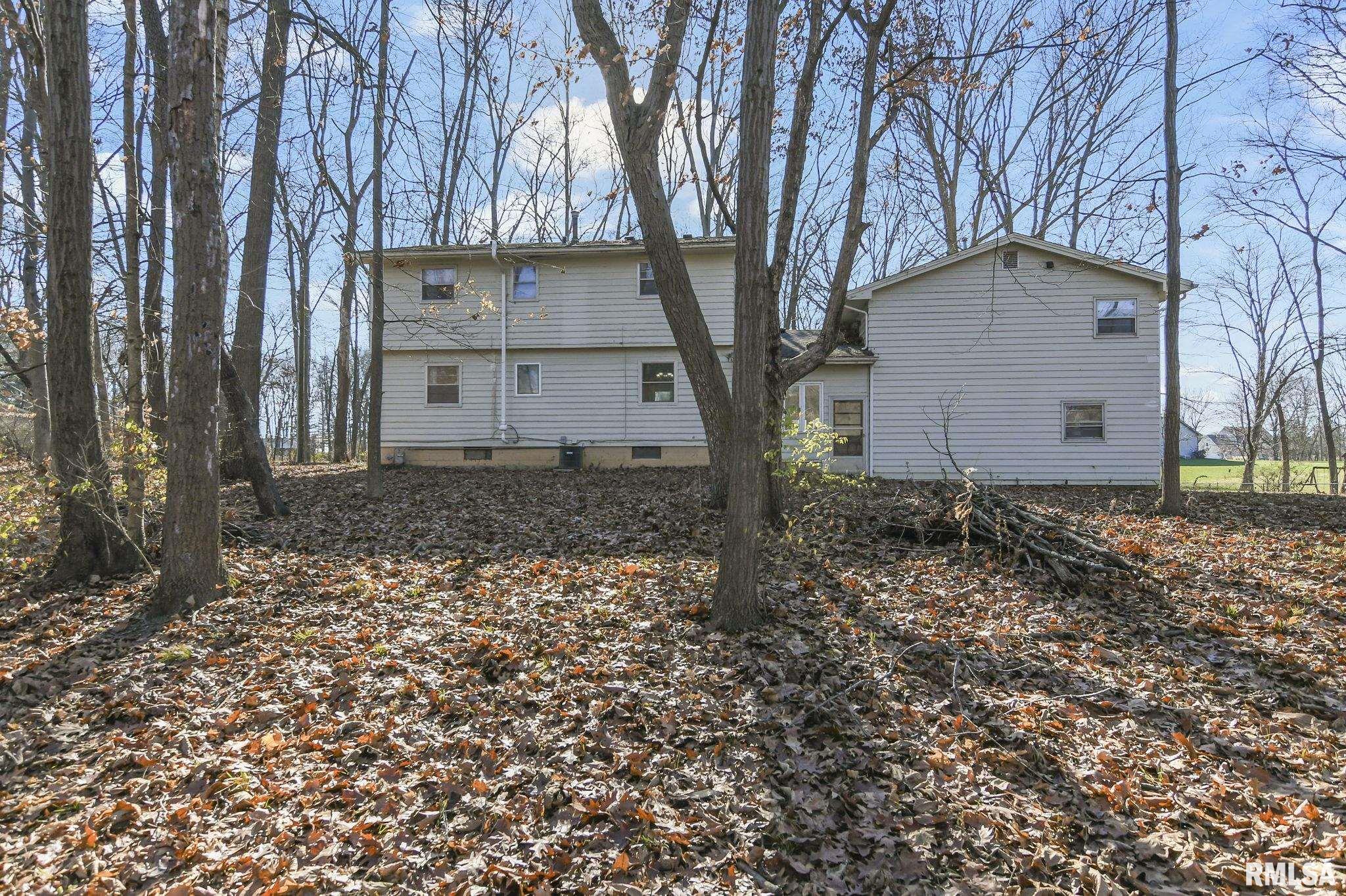 101 Sumner Lane Springfield, IL 62707 - Photo 45 of 50 Gallery Image 45