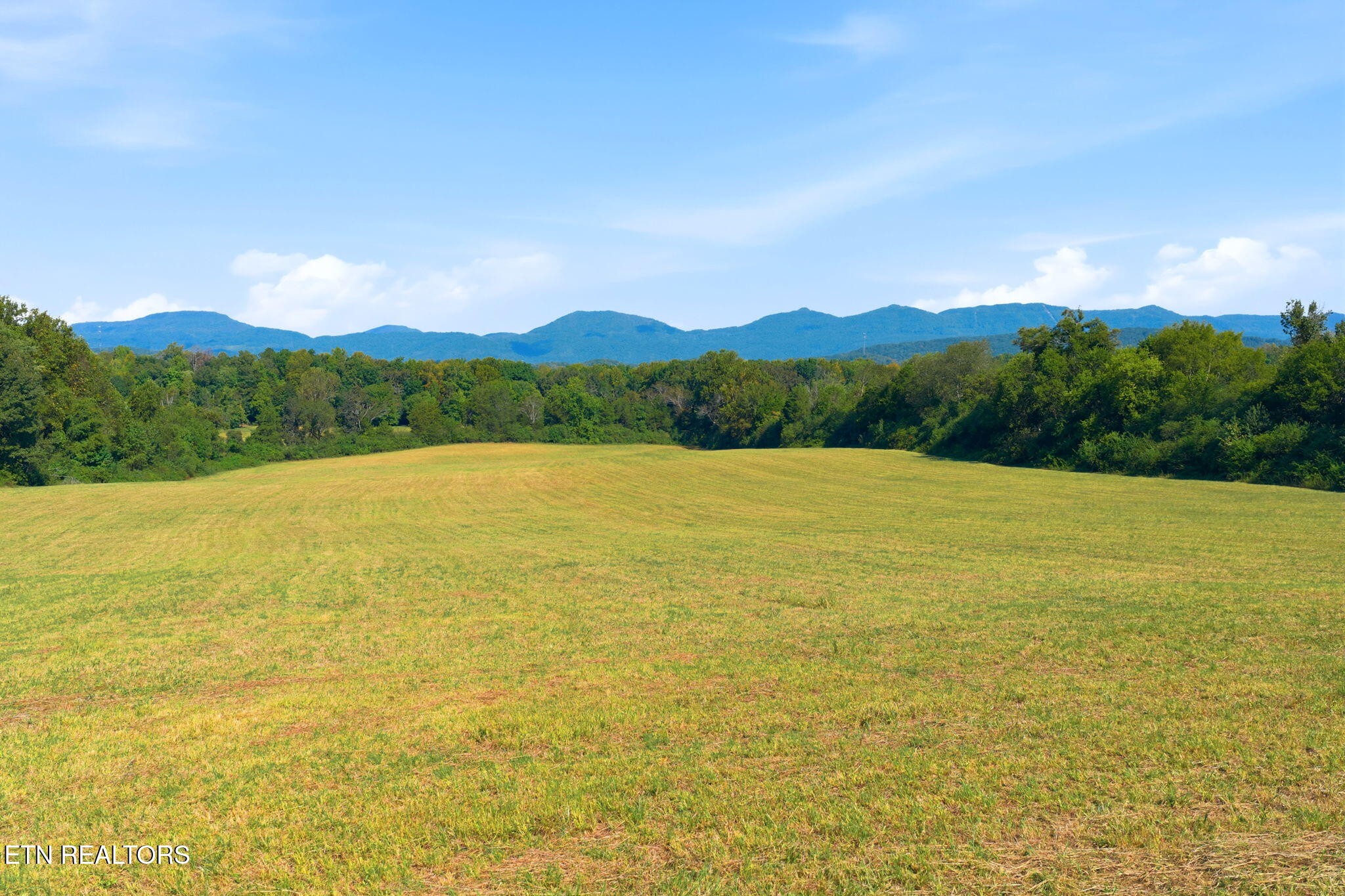 0 Mahoney Road Oliver Springs, TN 37840 - Photo 1 of 12 Gallery Image 1