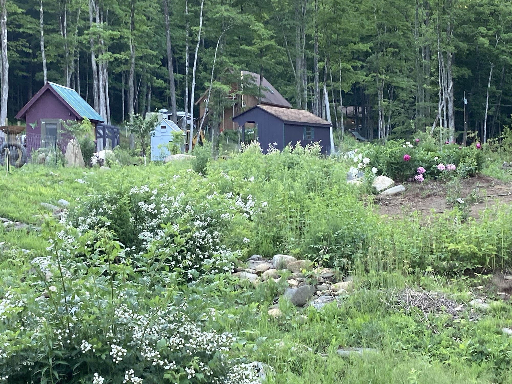 416 Beaver Pond Road Dummerston, VT 05301 - Photo 5 of 27