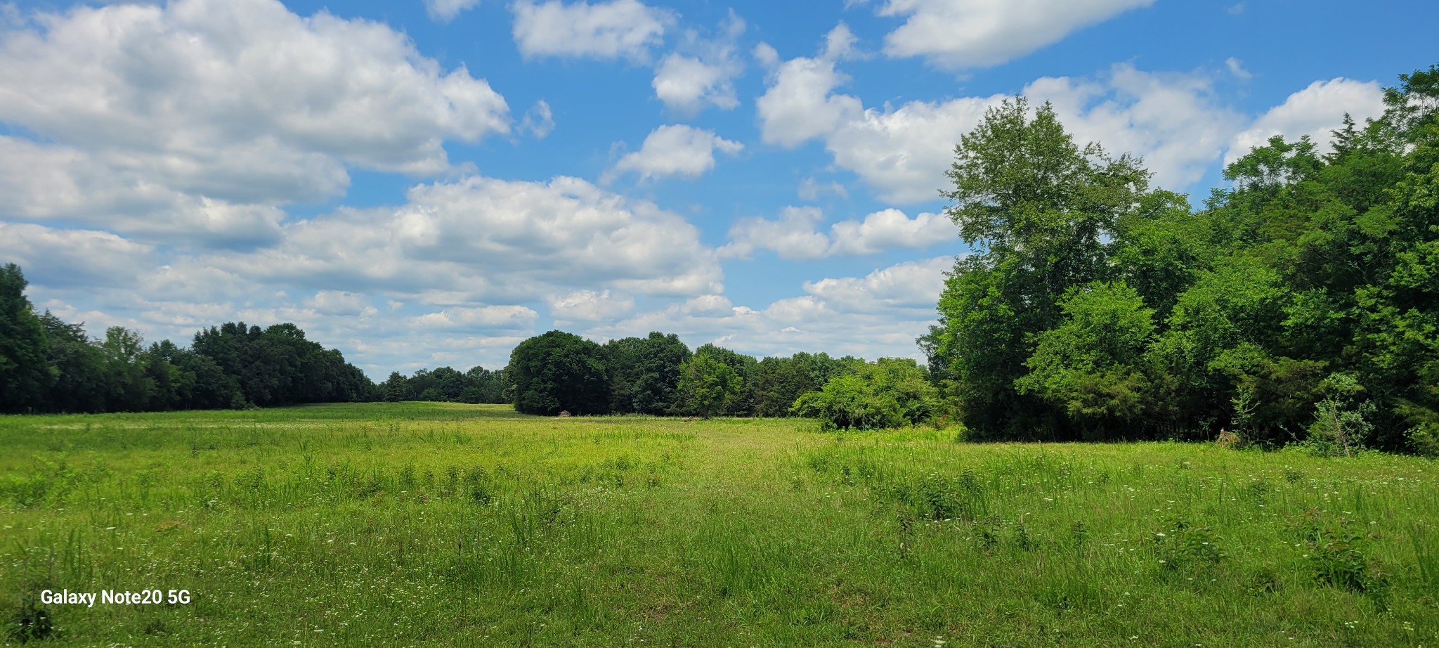 1 Clem Creek Road Chapel Hill, TN 37034 - Photo 1 of 12
