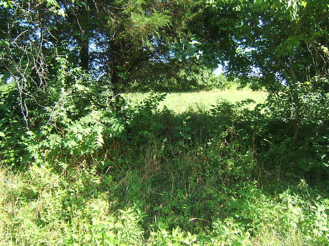 DSCF0031