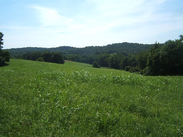 DSCF0035