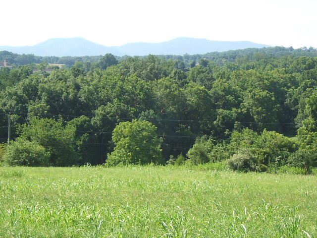 DSCF0036
