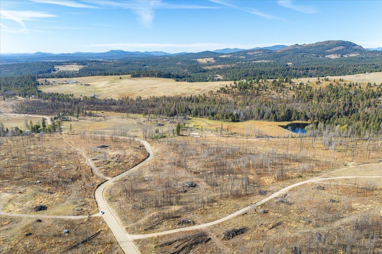 Xxx East Frideger Road Elk, WA 99009 - Photo 4 of 10