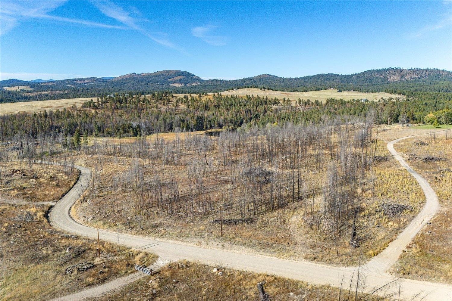 Xxx East Frideger Road Elk, WA 99009 - Photo 5 of 10