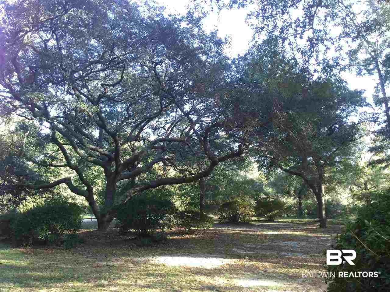 8189 River Road North Foley, AL 36535 - Photo 3 of 50 Huge oaks greet you in the front yard.