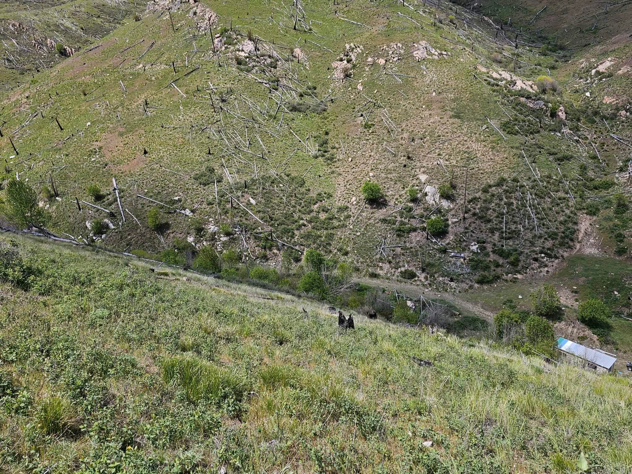 Nhn Blind Creek Draw Road Conner, MT 59827 - Photo 14 of 27 Gallery Image 14