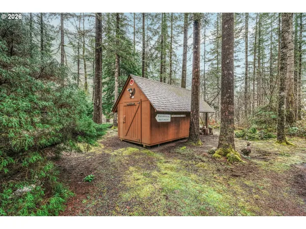a aerial view of a house in a forest