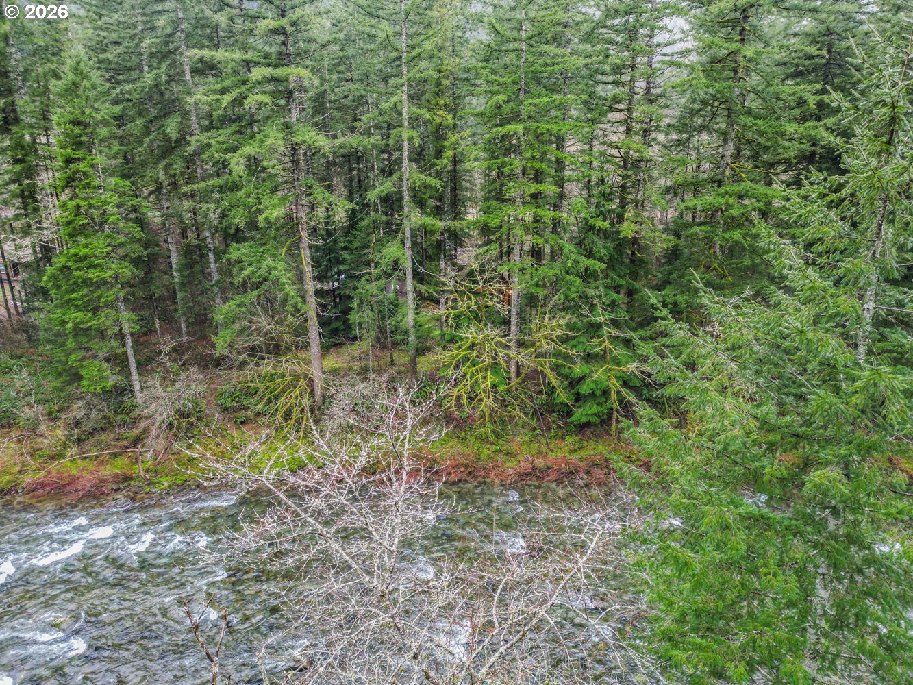 15202 Washougal River Road Washougal, WA 98671 - Photo 29 of 32 a view of a forest