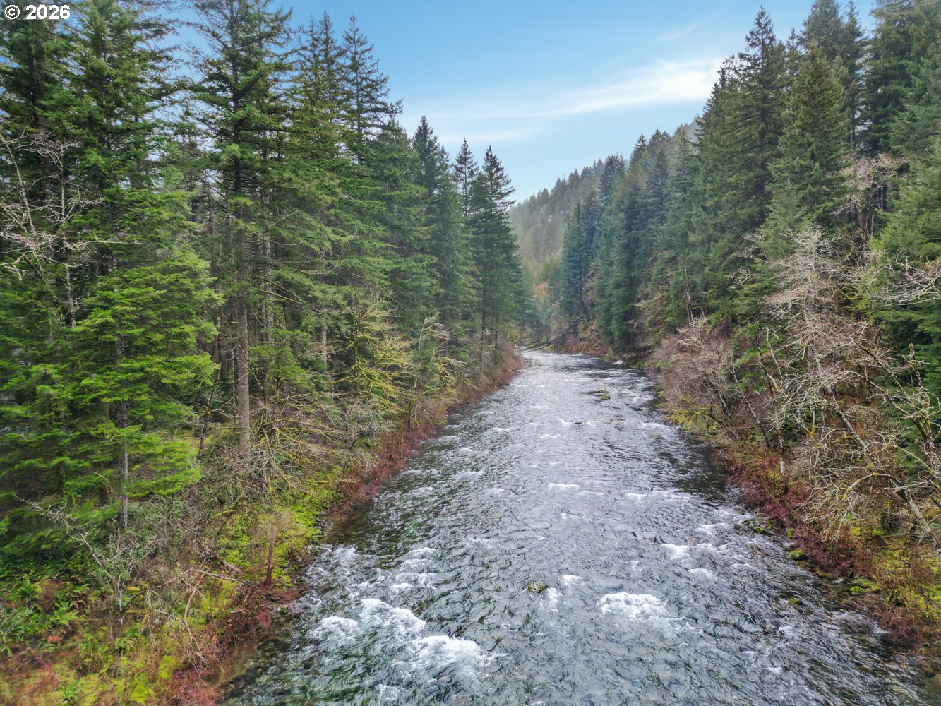 15202 Washougal River Road Washougal, WA 98671 - Photo 3 of 32 a view of a forest with trees in the background