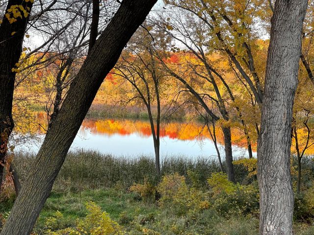 $1,150,000 | 3022 County Road 24, Medina, MN 55356