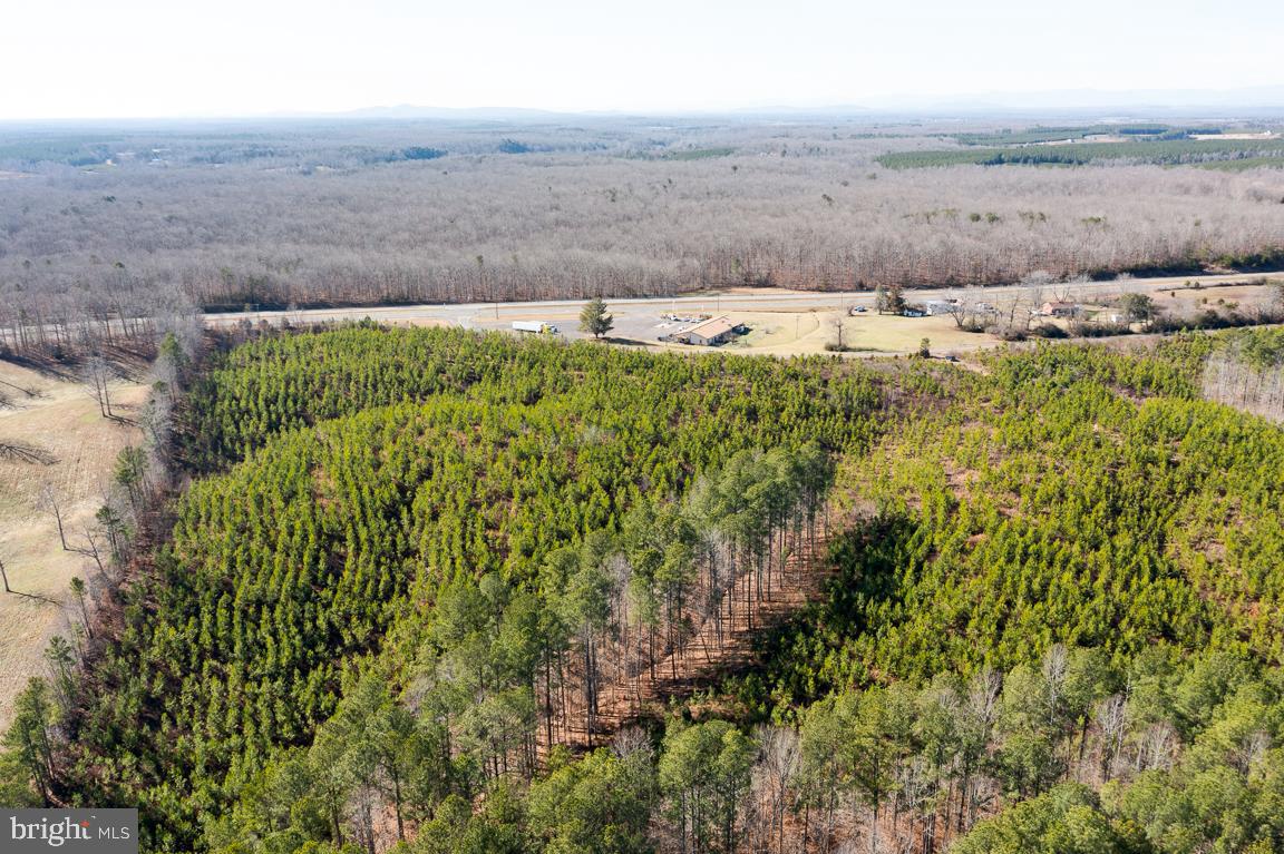 Lot 2 Yellow Bottom Road Lignum, VA 22726 - Photo 5 of 7 Gallery Image 5