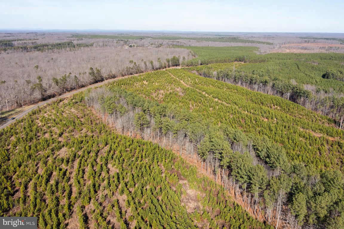Lot 2 Yellow Bottom Road Lignum, VA 22726 - Photo 6 of 7 Gallery Image 6