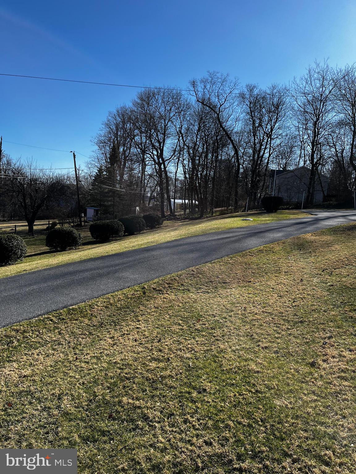 14625 Hilltop Road Cascade, MD 21719 - Photo 45 of 49 a view of yard with large trees