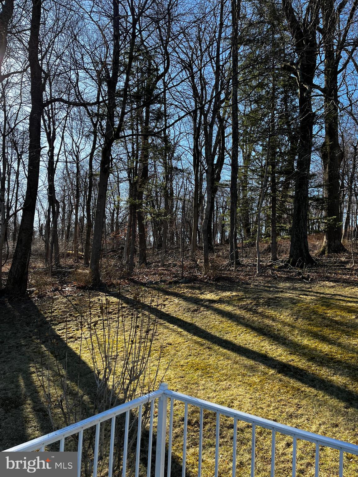 14625 Hilltop Road Cascade, MD 21719 - Photo 48 of 49 a view of a yard with trees