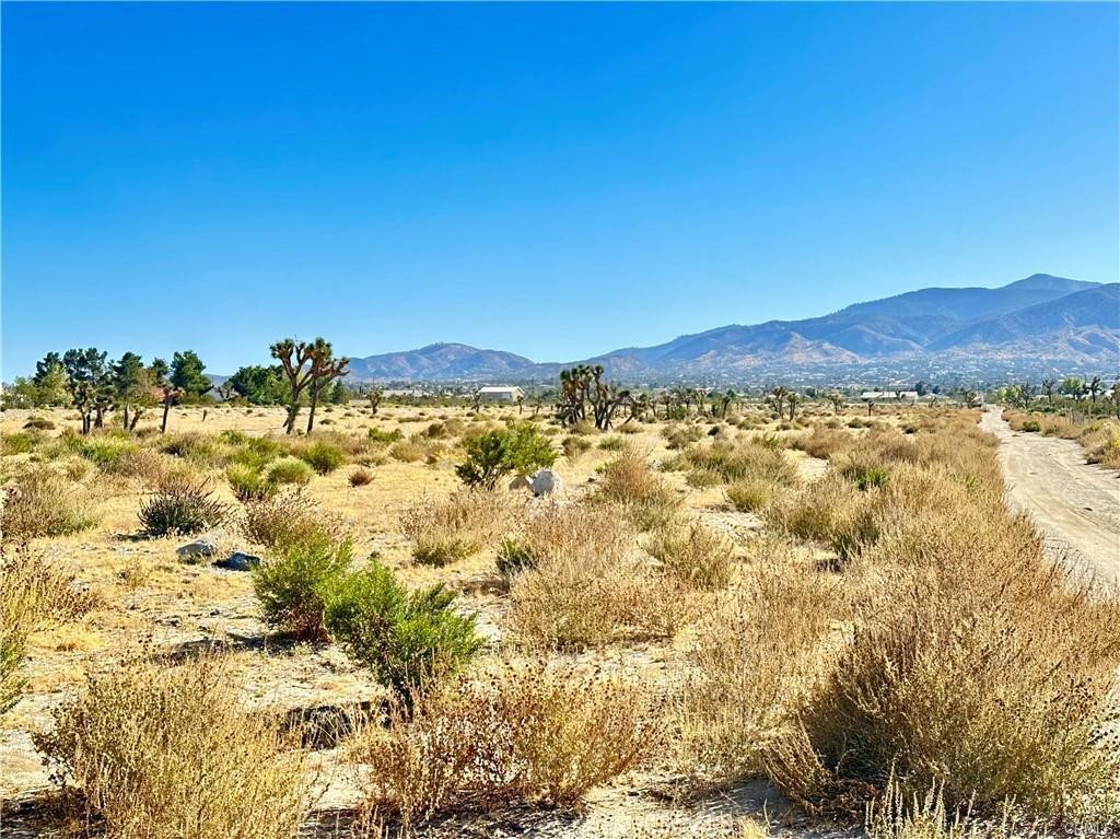 11975 Primavera Road Pinon Hills, CA 92372 - Photo 13 of 13