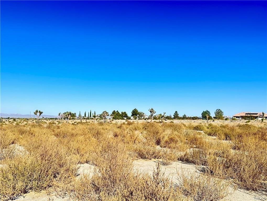 11975 Primavera Road Pinon Hills, CA 92372 - Photo 2 of 13