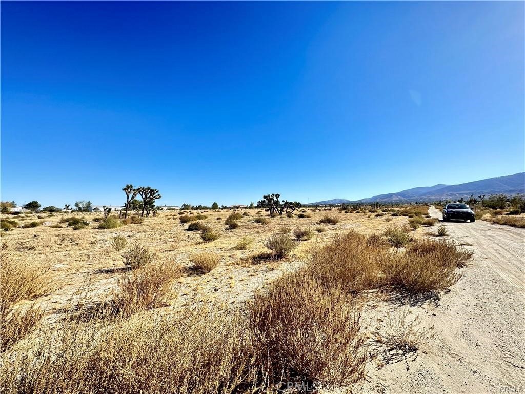 11975 Primavera Road Pinon Hills, CA 92372 - Photo 5 of 13