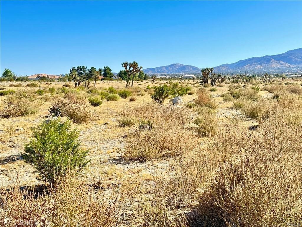 11975 Primavera Road Pinon Hills, CA 92372 - Photo 7 of 13