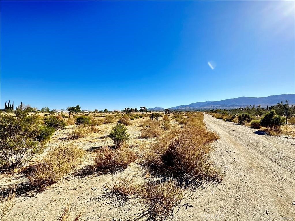 11975 Primavera Road Pinon Hills, CA 92372 - Photo 8 of 13