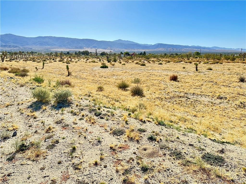 11975 Primavera Road Pinon Hills, CA 92372 - Photo 9 of 13