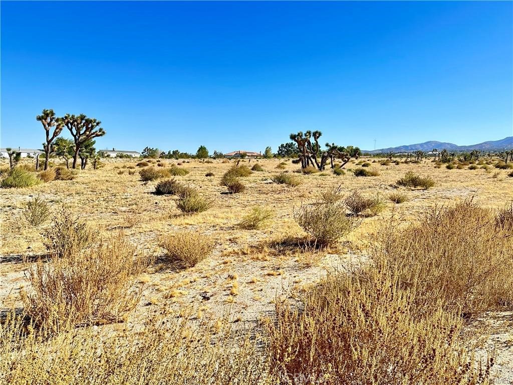 11975 Primavera Road Pinon Hills, CA 92372 - Photo 10 of 13