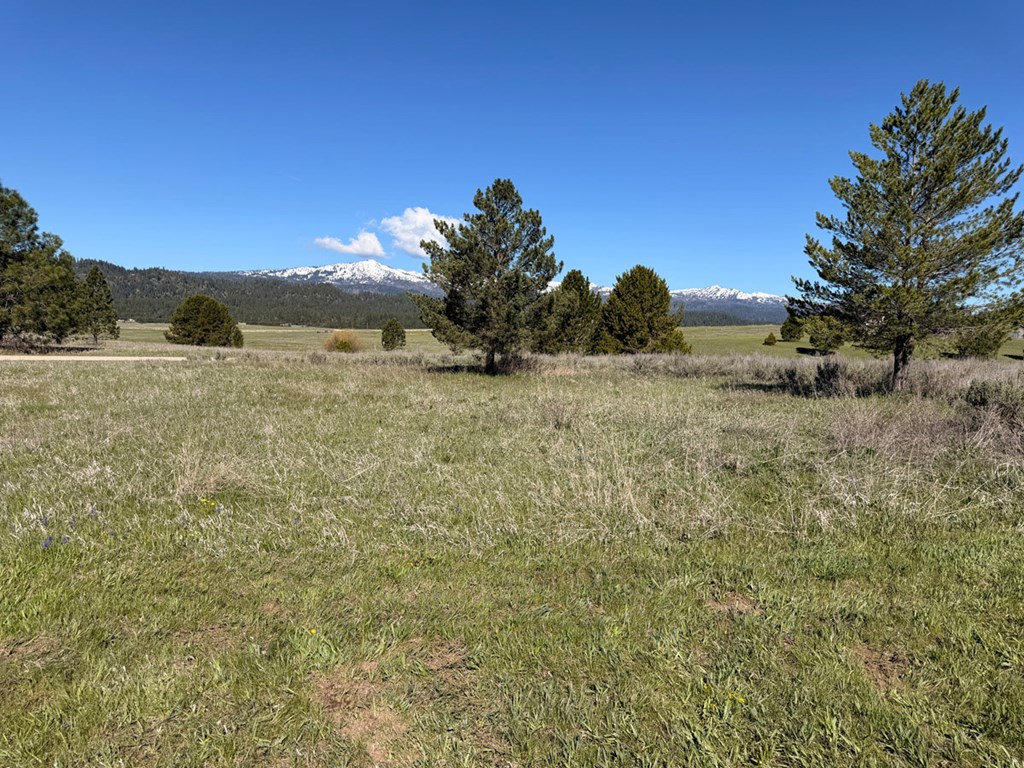 10307 Emma Loop Cascade, ID 83611 - Photo 20 of 28 Minutes from Herrick Reservoir