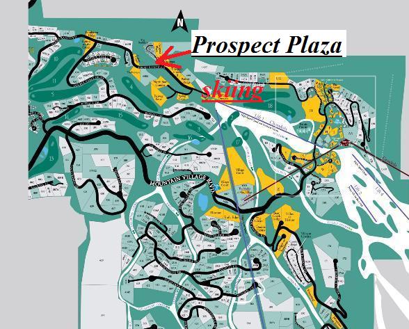 313 Adams Ranch Road, Unit 3B Mountain Village, CO 81435 - Photo 7 of 18 PP map
