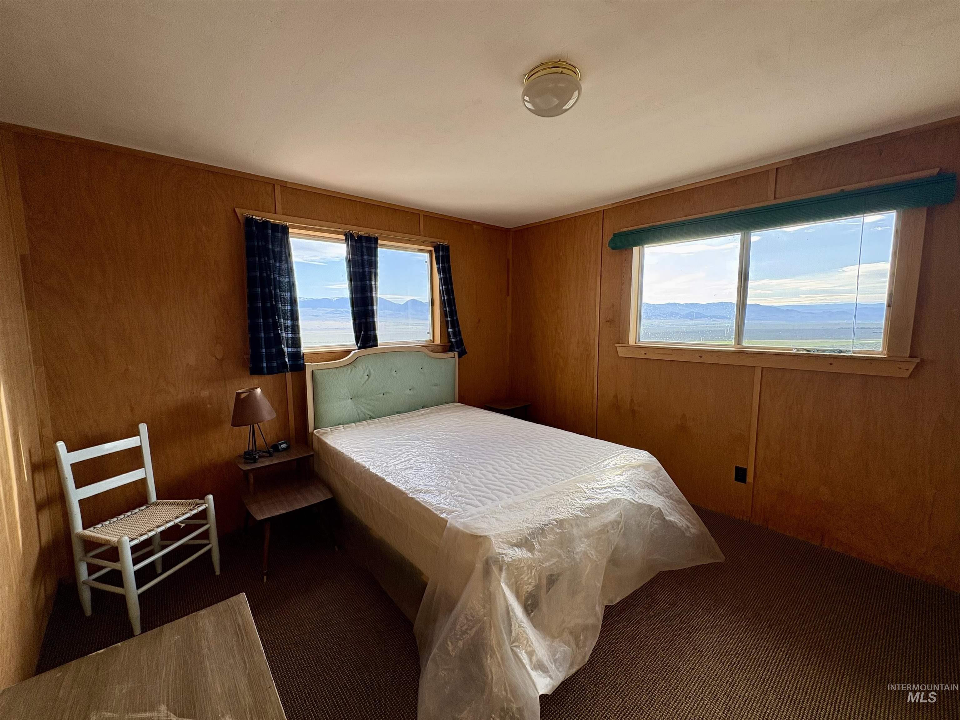 2040 Pahsimeroi River Road May, ID 83253 - Photo 18 of 29 Room featuring wood paneling on walls and a textured carpeted floor