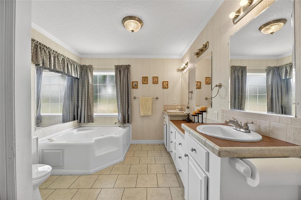 6250 Green Pond Road Polk City, FL 33868 - Photo 32 of 96 a bathroom with a sink a toilet and a mirror