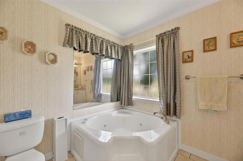 6250 Green Pond Road Polk City, FL 33868 - Photo 35 of 96 a bathroom with a bathtub and a shower