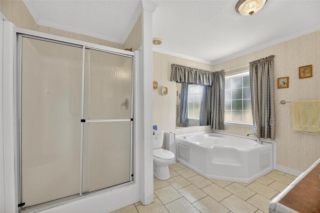 6250 Green Pond Road Polk City, FL 33868 - Photo 36 of 96