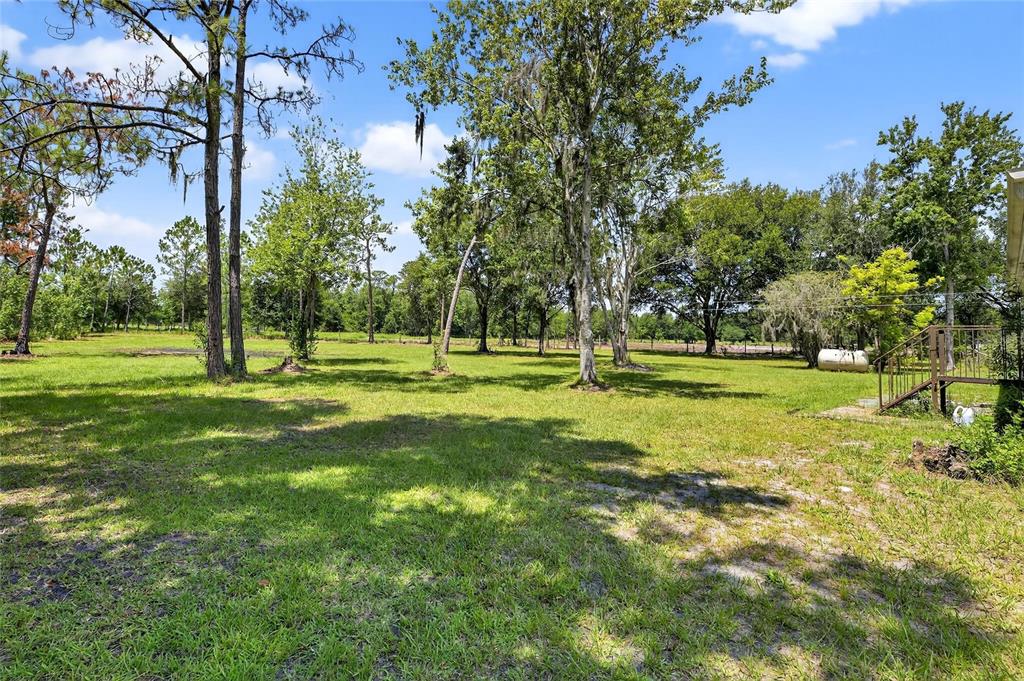 6250 Green Pond Road Polk City, FL 33868 - Photo 66 of 96