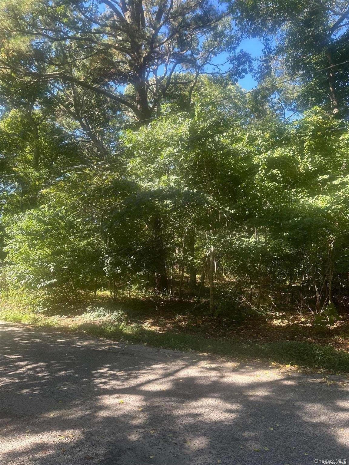 8 Shell Road Hampton Bays, NY 11946 - Photo 4 of 5 Gallery Image 4