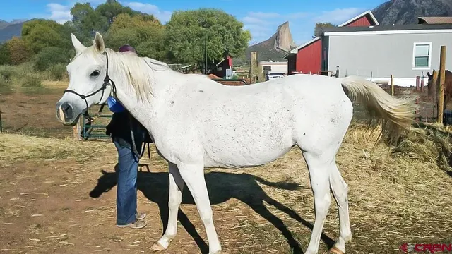 a view of a house with pool and sitting area