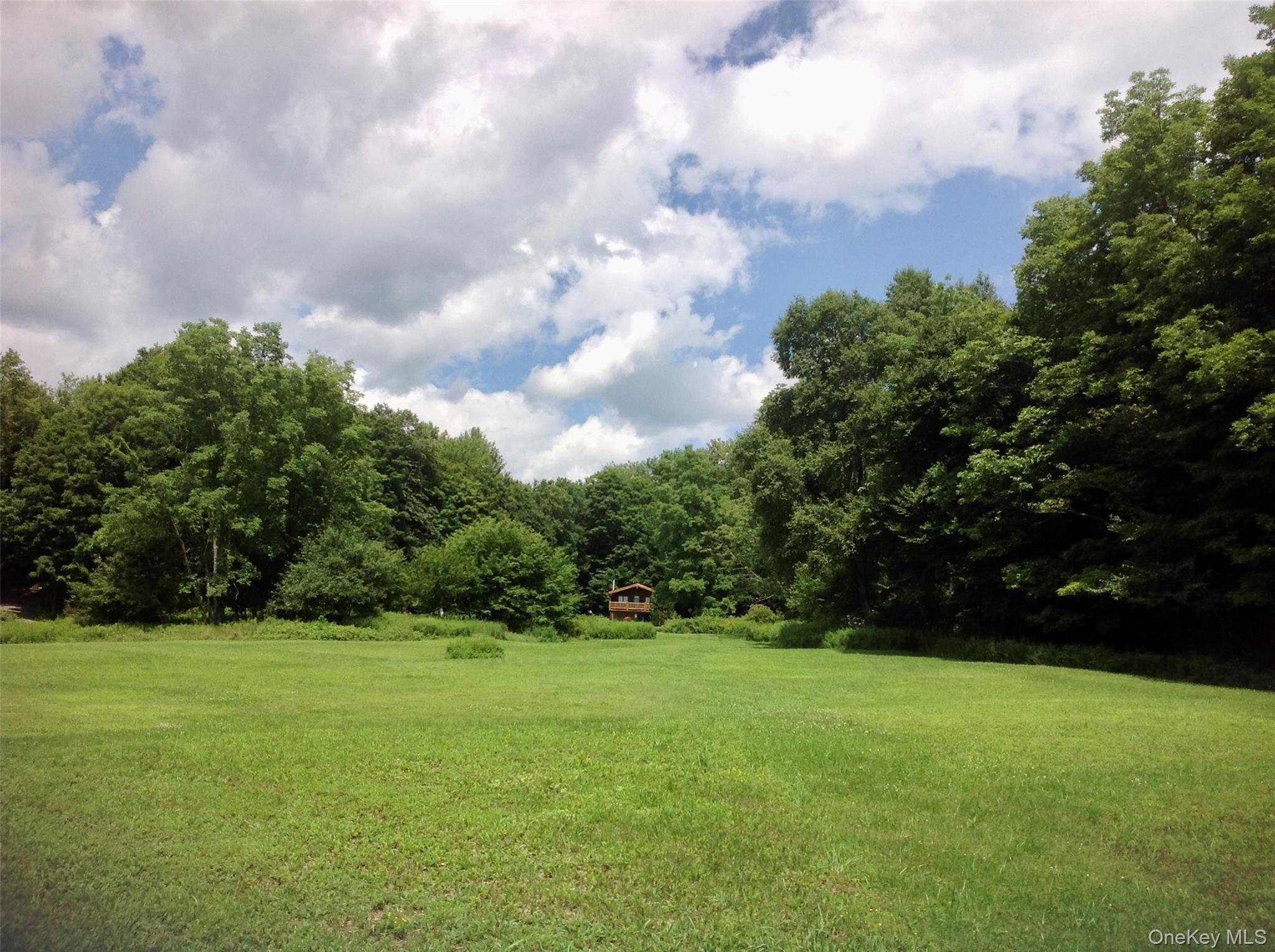 66 Milton Smith Road Long Eddy, NY 12760 - Photo 17 of 25 A rare combination of open fields, mature forest, and exceptional privacy creates a property that's as peaceful as it is beautiful. Schedule your private tour and discover everything this Catskills retreat has to offer.