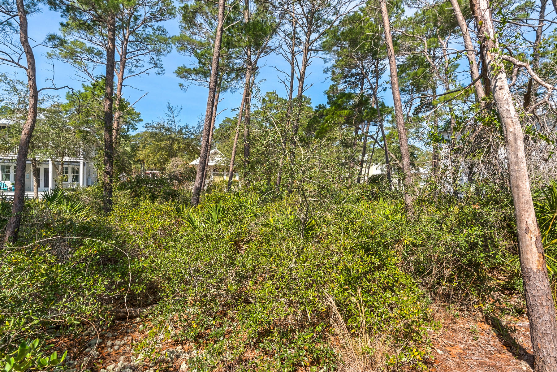 79 Greenway Park Avenue Santa Rosa Beach, FL 32459 - Photo 33 of 41 a view of a house with a tree
