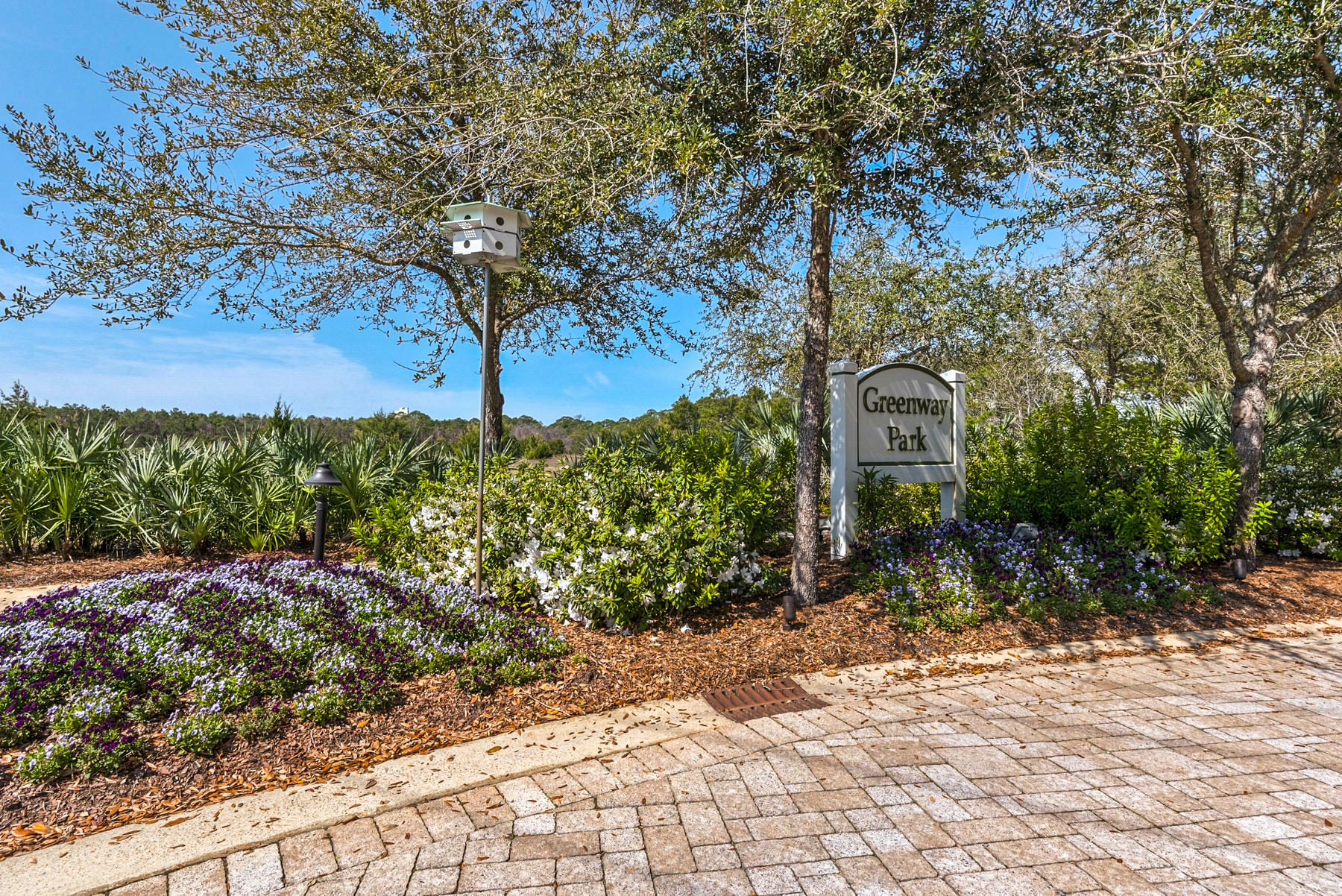 79 Greenway Park Avenue Santa Rosa Beach, FL 32459 - Photo 35 of 41 a view of a garden with trees