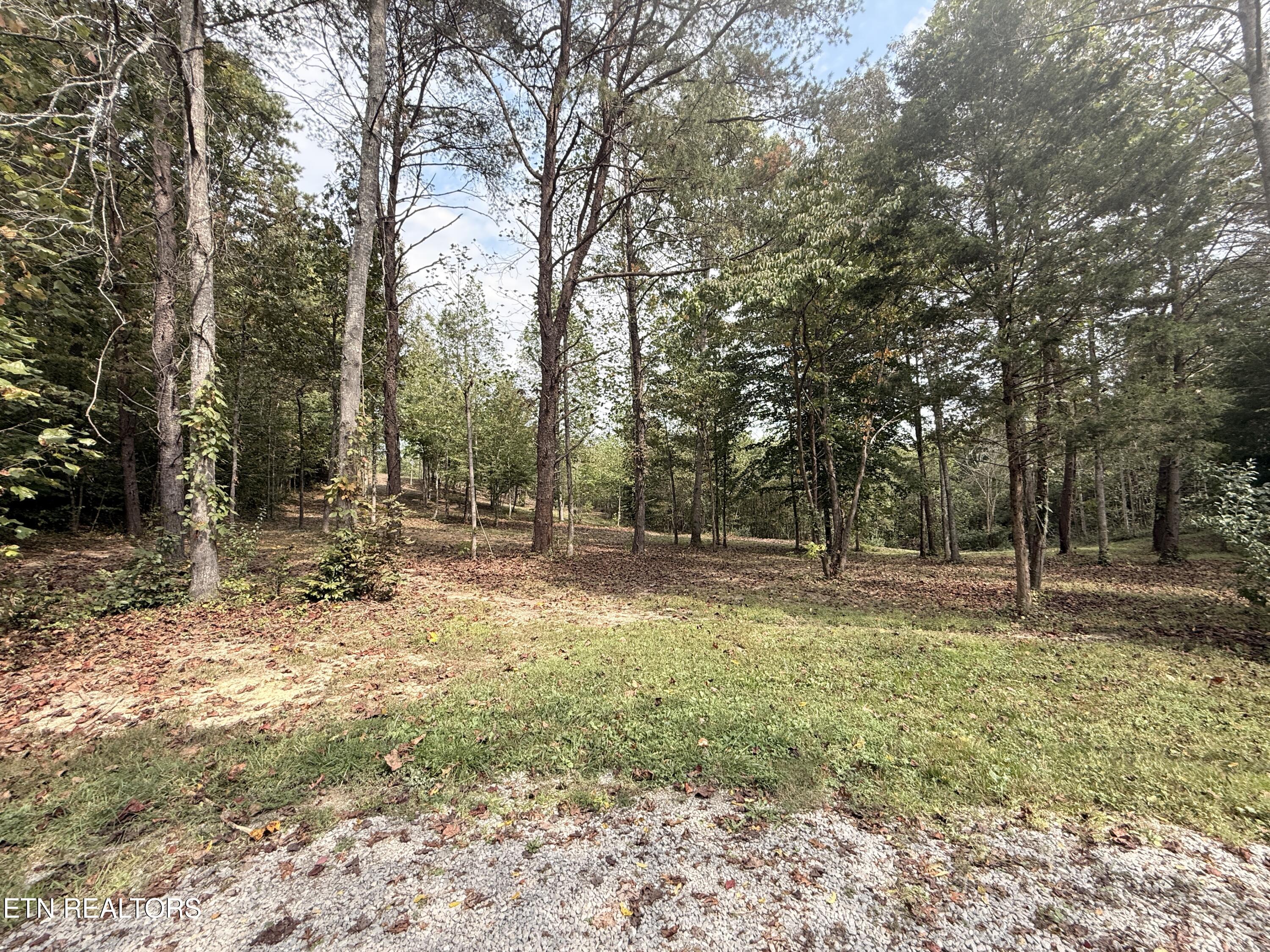 444 Roses Creek Road Clairfield, TN 37715 - Photo 25 of 48 Lower Property