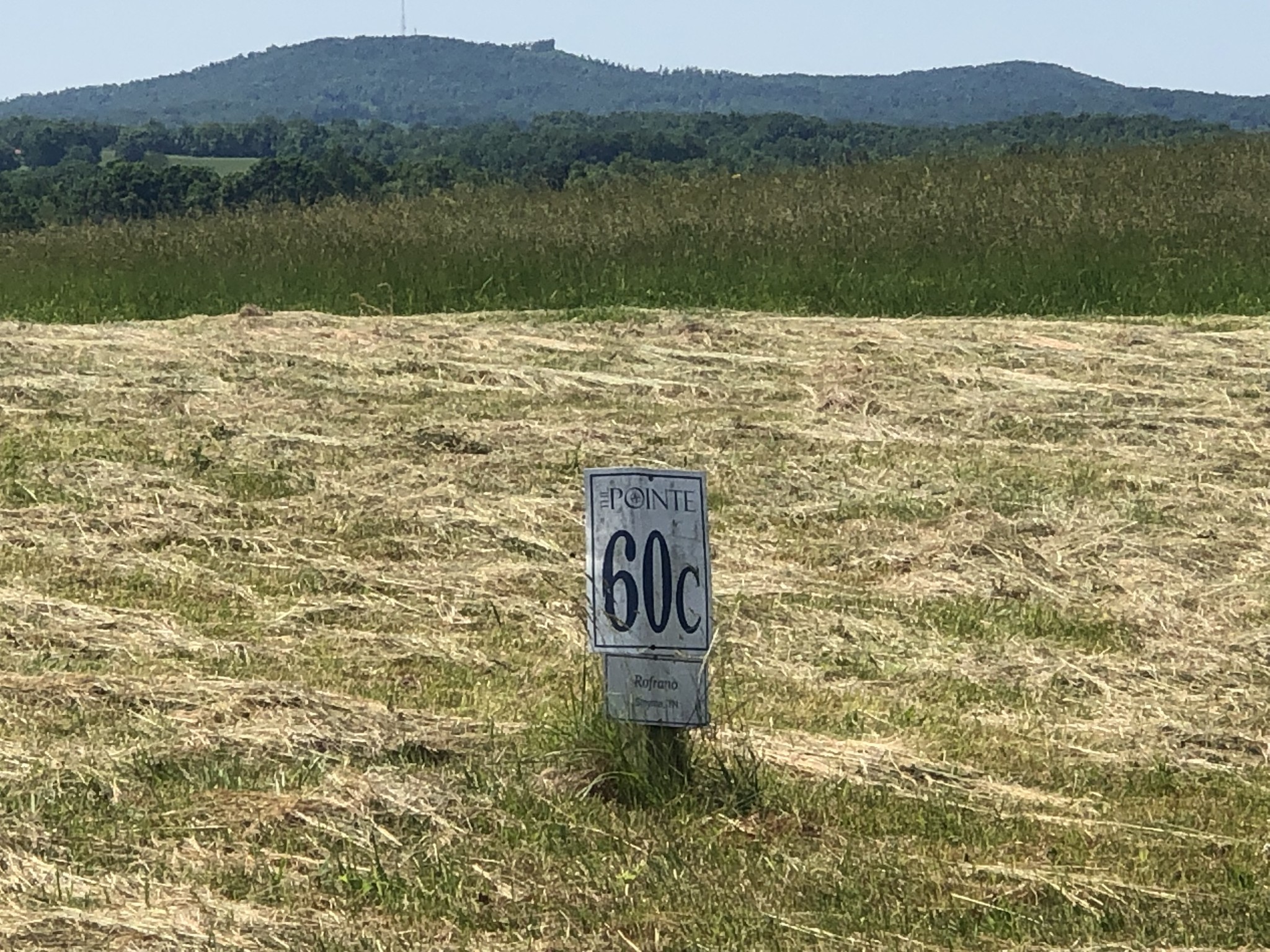 60 C Walleye Road Celina, TN 38551 - Photo 3 of 25 a view of a lake