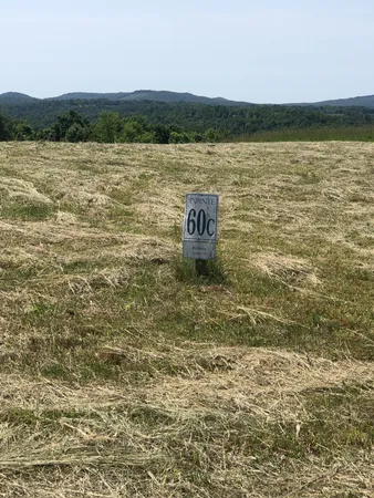 a view of a lake from a yard