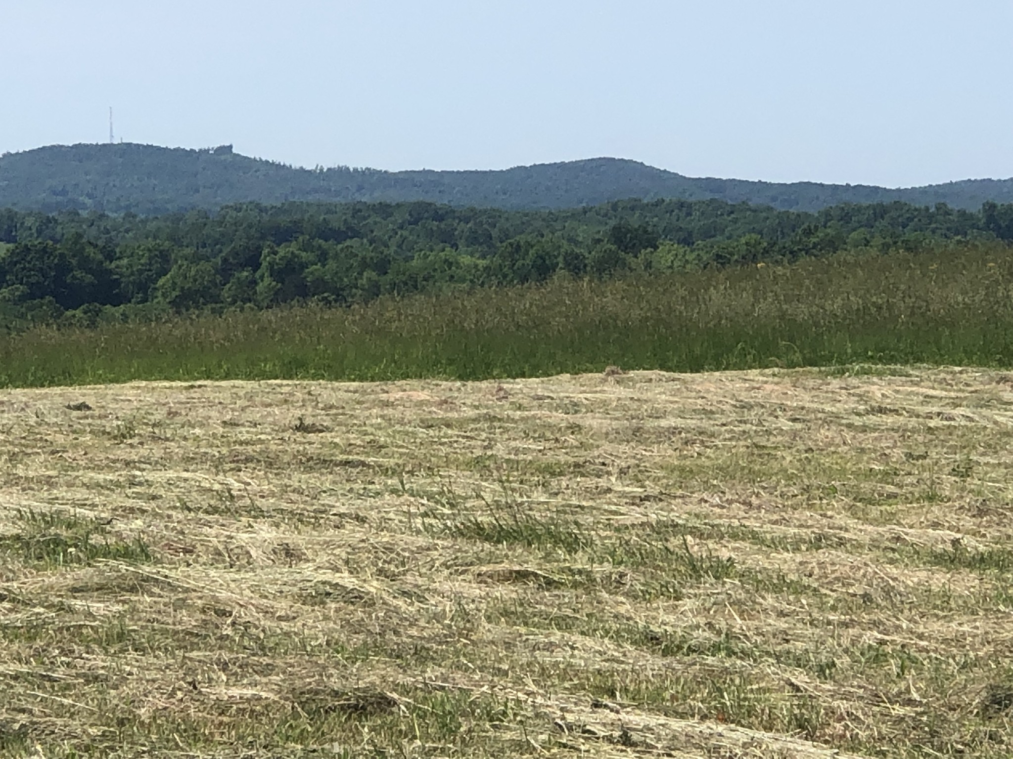 60 C Walleye Road Celina, TN 38551 - Photo 6 of 25 a view of a lake view and mountain view